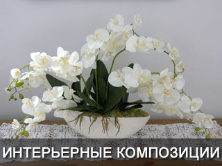 Интерьерные композиции Днепропетровск